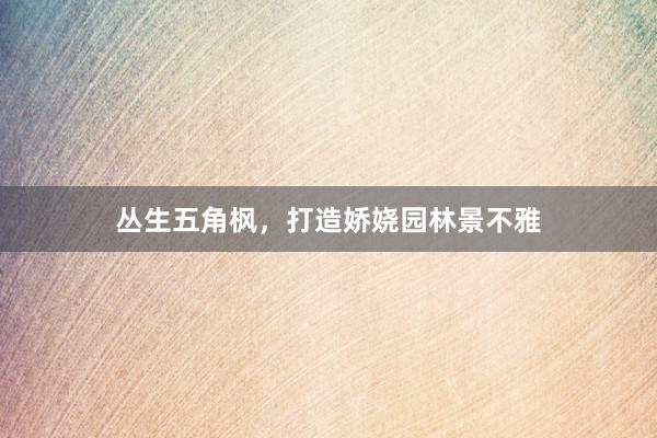 丛生五角枫，打造娇娆园林景不雅