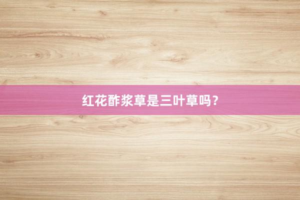 红花酢浆草是三叶草吗？