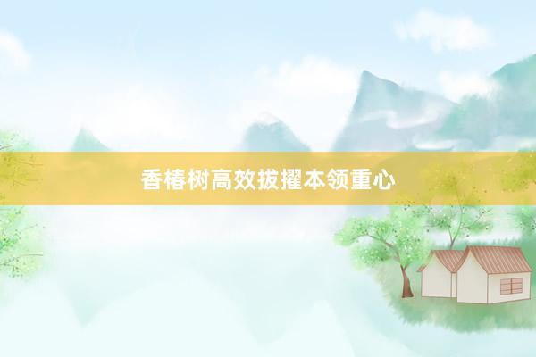 香椿树高效拔擢本领重心